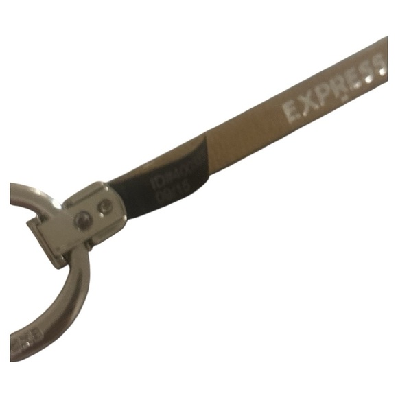 Express Silver O-Ring Belt - Picture 5 of 7